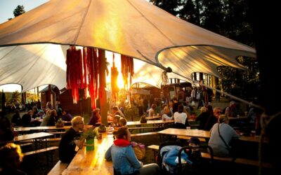 Kontantfri festival